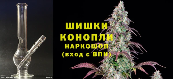 винт Алзамай