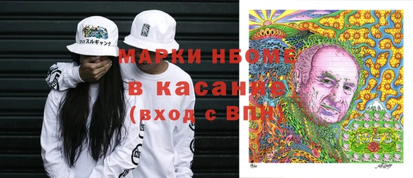 винт Алзамай